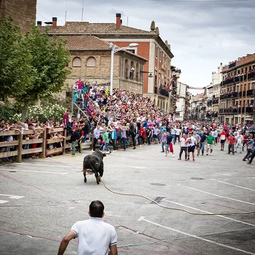 Img Fiestas En Honor A La Virgen De Las Angustias Toro soga