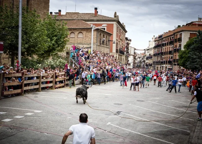 Img Fiestas En Honor A La Virgen De Las Angustias Toro soga