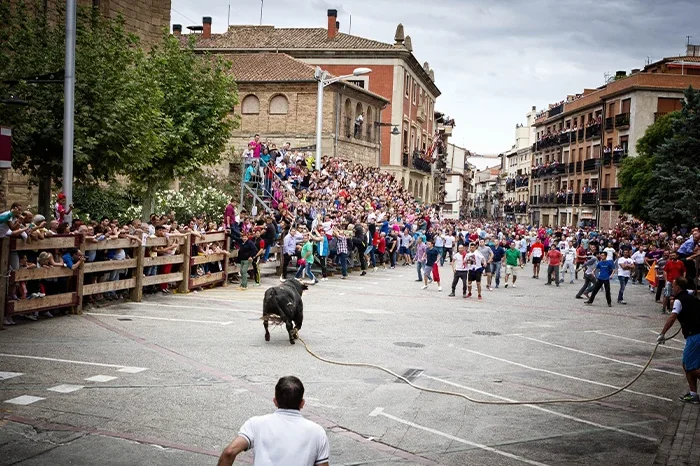 Img Fiestas En Honor A La Virgen De Las Angustias Toro soga