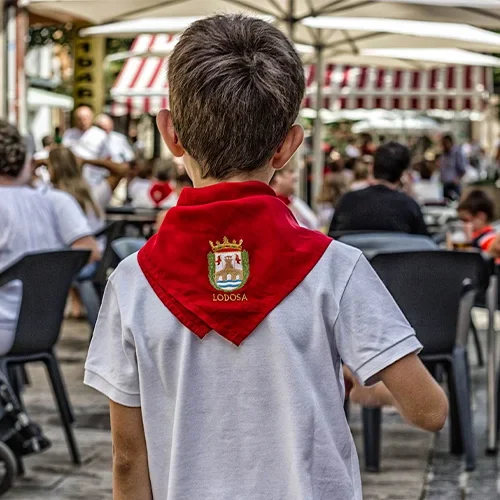 Img fiestas patronales 5