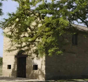 Img romeria san gregorio