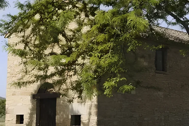 Img romeria san gregorio