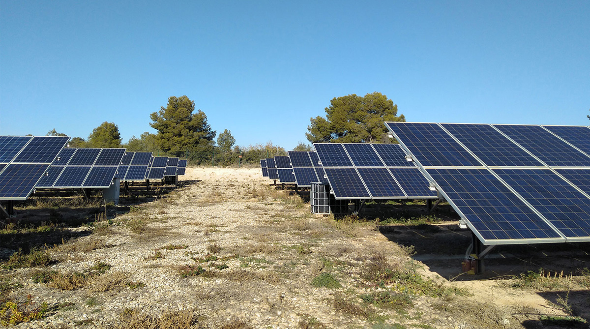 huerto_solar_principal